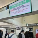 남산미래여행사