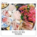 격포항길 | 변산반도 횟집 격포항 횟집 스끼 푸짐한 vip코스 한상 후기