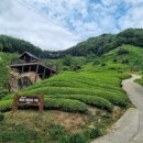 도심다원 이미지