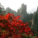 일만이천봉 이미지