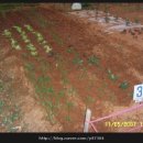 우영농장 이미지