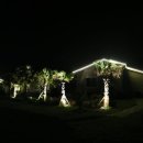 표선 휴 이미지