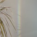 뱅갈온니 | 2023년 상반기 온니유헤어의 소식 - 한국소비자평가 수상