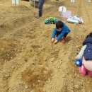 완전농장 이미지