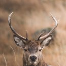 백산한의원 이미지