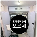 동해빌딩 | [동해피부관리 오르네 방문 후기] 마이크로 웨이브 파장으로 얼굴 리프팅 효과 제대로 느꼈어요!
