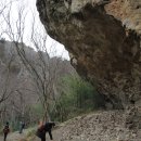 길손과 풀꽃 이미지