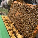 계상농장 이미지