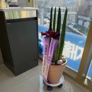 연세사랑마취통증의학과의원 이미지