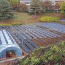 분당태양광발전소 이미지