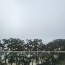 동호비치호텔 이미지