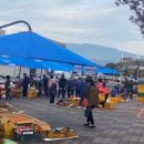 할머니장터 gbs방송국