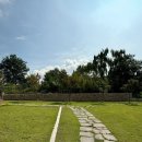 모가농협 앞 이미지