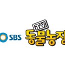 상아지네 이미지