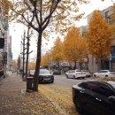 신거북시장(7) 이미지