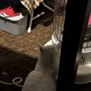 만종리849-2 이미지