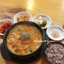 네네치킨맹동점 | 이것저것 여기저기 - ⑪