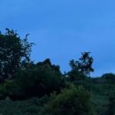 석하별당 이미지