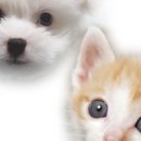 금수강산헬스 이미지