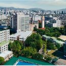 세종대학교 공공정책대학원 이미지