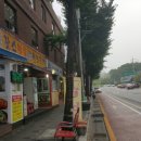 장수빈대떡 - 남동구 백범로 406 | 장수빈대떡