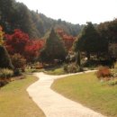 미소원 | [가평여행] 22개월 아기랑 / 11월 가평 / 미소원 닭갈비