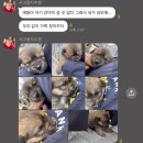 봄이 찾아오나보다