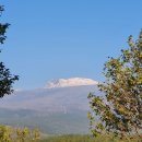 캠파제주 이미지