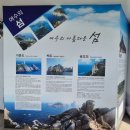 오동도 | [여수 여행] 겨울에도 붉은 꽃이 피는 섬, 오동도 여행 후기