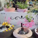 종대농장 이미지