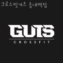 크로스핏 거츠 이미지