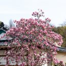 서해사랑 이미지