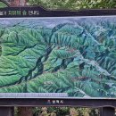 삼척활기자연휴양림 이미지