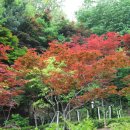 방아공원 이미지