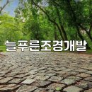 늘푸른개발