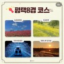 군문초등학교 | 평택 가볼만한곳 평택여행가고 기프티콘받기