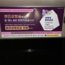 보라성형외과의원