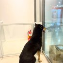 Mong's(몽'스) 이미지