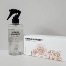 1555 | [내돈내산] 올리브영 인기쟁이 '1555 소프 소프 멀티 룸 스프레이' 일주일 사용 후기