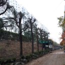 수목가든 이미지