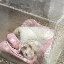 테이블에이 이미지