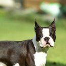 두아름농장 이미지