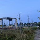 개들랜드 이미지