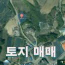 대구동_강릉 - 4459 | 대구동_강릉