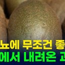 당뇨에 무조건 좋은 천국에서 내려온 과일은 무엇일까요? 100세까지 건강하게 사는 방법 메타웰 건강정보 생활꿀팁이 알려드립니다! 이미지