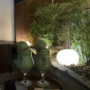 뽀꾸뽀꾸 이미지