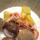 더스타(해피엔젤라) 이미지