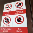 꿀잼문방구 | 이것까지 준다고? 싱가포르 원더러스트(Wanderlust) 디럭스룸 솔직후기