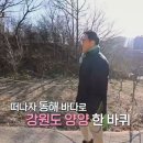 조산리 마을회관 티스토리