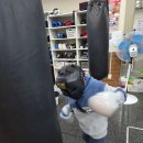 골든보이 복싱짐 | 동탄복싱 후기｜아이가 즐겁게 다니는 골든보이 복싱짐 키즈복싱 이야기